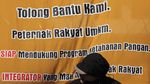 Peternak Ayam Petelur Desak Pemerintah Stabilkan Harga Telur