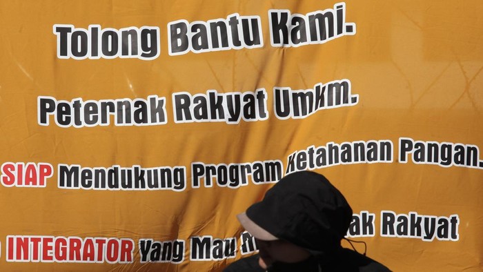 Peternak ayam petelur mengikuti aksi unjuk rasa di depan Gedung DPRD Provinsi Jawa Timur, Surabaya, Jawa Timur, Senin (29/6/2026). Peternak ayam petelur dari berbagai daerah di Jawa Timur menggelar aksi menyikapi anjloknya harga telur ayam di tingkat peternak sekaligus meminta pemerintah setempat melindungi keberlangsungan usaha peternakan rakyat. ANTARA FOTO/Didik Suhartono/kye