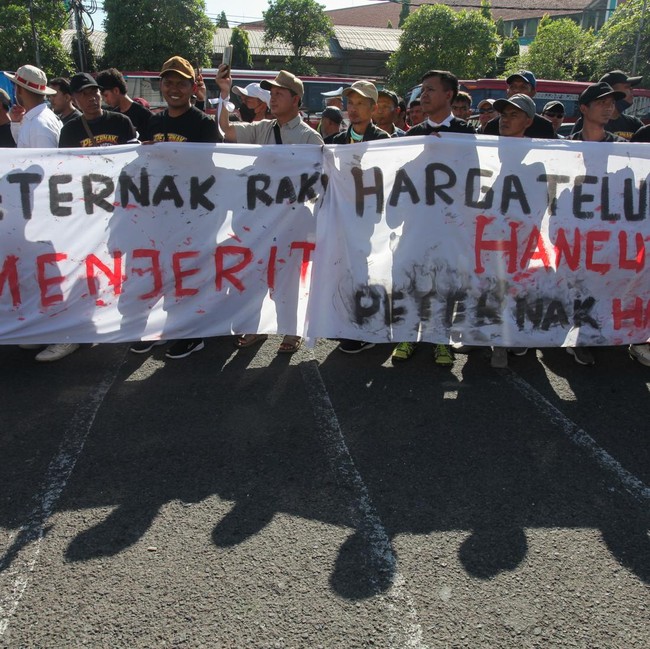 Peternak Ayam Petelur Desak Pemerintah Stabilkan Harga Telur