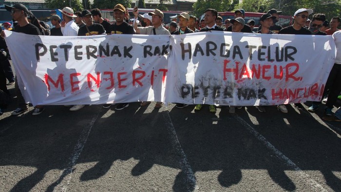 Sejumlah peternak ayam petelur berunjuk rasa di depan Gedung DPRD Provinsi Jawa Timur, Surabaya, Jawa Timur, Senin (29/6/2026). Peternak ayam petelur dari berbagai daerah di Jawa Timur menggelar aksi menyikapi anjloknya harga telur ayam di tingkat peternak sekaligus meminta pemerintah setempat melindungi keberlangsungan usaha peternakan rakyat. ANTARA FOTO/Didik Suhartono/kye