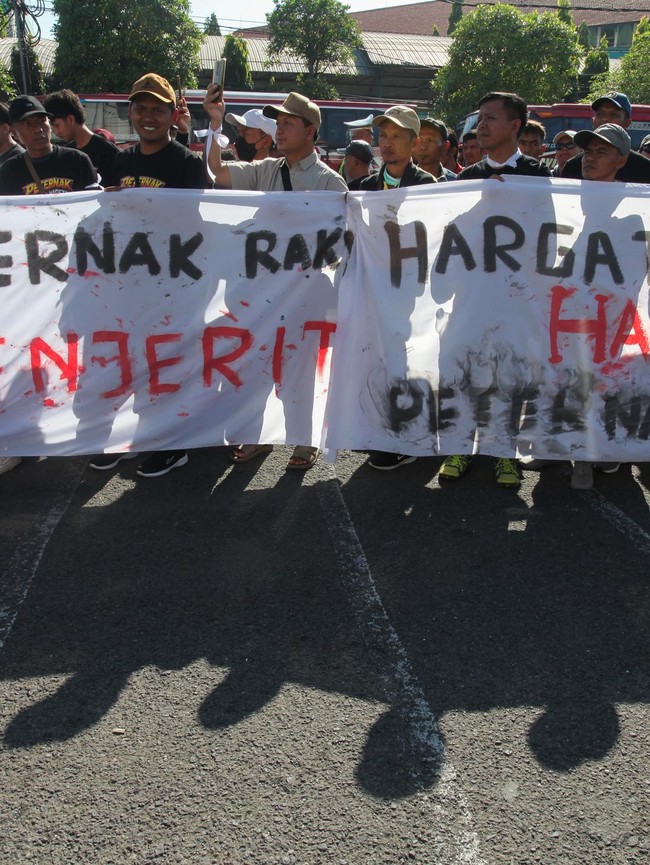 Peternak Ayam Petelur Desak Pemerintah Stabilkan Harga Telur