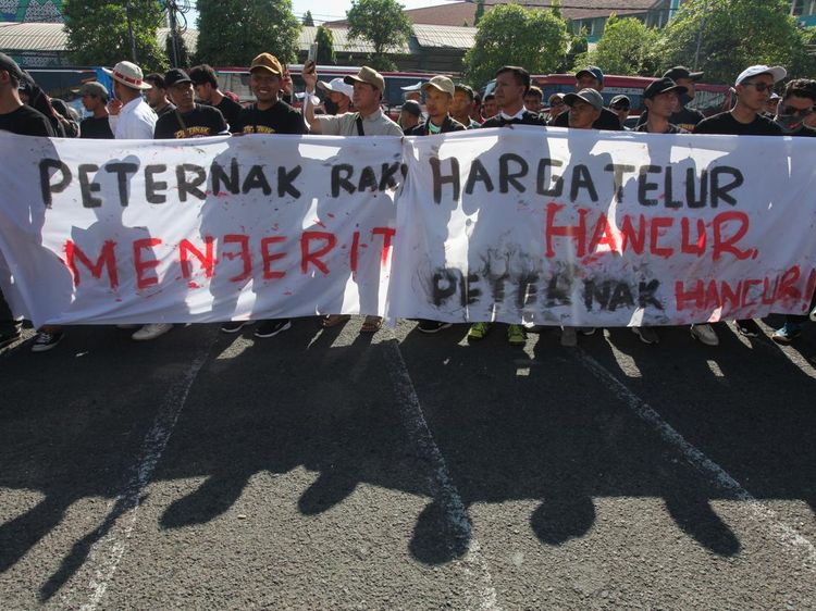 Peternak Ayam Petelur Desak Pemerintah Stabilkan Harga Telur