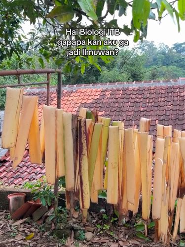 Alumnus Biologi ITB, mengolah limbah tani jadi souvenir ramah lingkungan demi dampak sosial bagi warga desa.