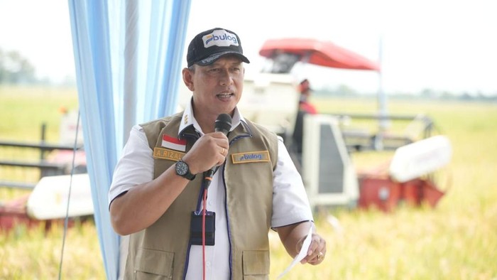 BULOG Tegaskan Tetap Serap Gabah Hasil Panen Petani Sepanjang Tahun