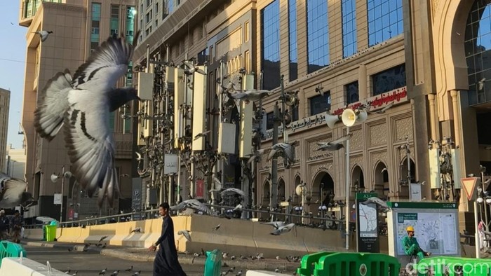 Burung beterbangan di kawasan Ajyad sekitar pelataran Masjidil Haram.