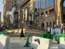 Jangan Asal Bikin Konten, Burung di Masjidil Haram Tak Boleh Diusir