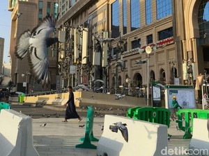 Jangan Asal Bikin Konten, Burung di Masjidil Haram Tak Boleh Diusir