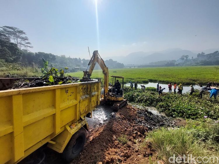 Penampakan Hamparan Pulau Eceng Gondok di Sungai Citarum