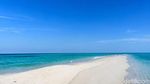 Pesona Gosong Senggora di Pantai Bogam Raya yang Langka Terjadi