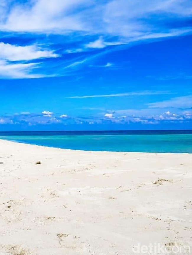 Pesona Gosong Senggora di Pantai Bogam Raya yang Langka Terjadi