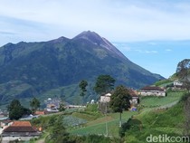 Viral Pendakian Merapi Bakal Dibuka, BTNGM Beri Penjelasan