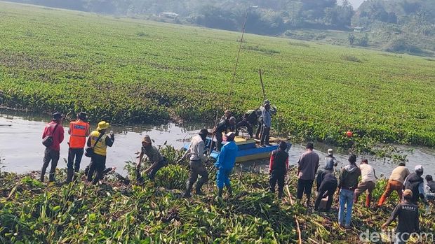 Hamparan eceng gondok di Sungai Citarum KBB kian meluas dibersihkan petugas