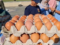 Lawan Tengkulak, Peternak Blitar Gelar Obral Telur Murah