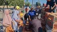 Salah satu peternak, Suyanto mengatakan aksi obral telur itu terpaksa dilakukan untuk meningkatkan harga jual telur ayam. Terlebih di tingkat peternak (farm-gate price) yang dinilai merugikan. Menurutnya, harga telur saat ini ambles di titik terendah yakni Rp 15. 600 sampai dengan Rp 16. 200 per kilogram.