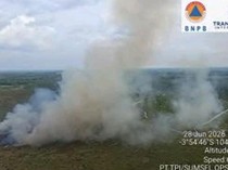 4 Helikopter Padamkan Karhutla di 3 Daerah Sumsel, Belasan Hektare Terbakar