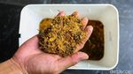 Kompos Keliling Jadi Solusi Kurangi Sampah Organik dari Rumah