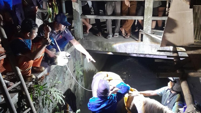Evakuasi kuda nyemplung selokan di Jogja.