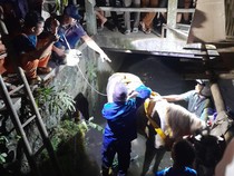 Detik-detik Kuda Andong Nyemplung Selokan di Umbulharjo Jogja Saat Jalan Pulang