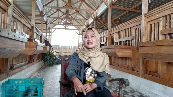 Mila Arlinda, lulusan Fapet UGM, sukses mendirikan usaha ternak beromzet puluhan juta per bulan.
