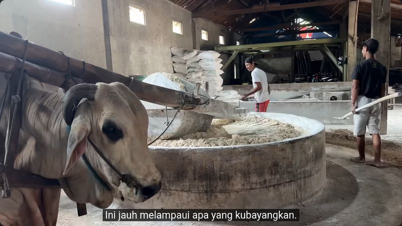 Proses pembuatan mie lethek di Bantul, Yogyakarta, sukses bikin orang Jepang tidak bisa berkata-kata.