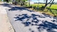 Ketua RT setempat, Agus Triyono, membenarkan bahwa coretan di badan jalan merupakan inisiatif warga sebagai bentuk penyampaian aspirasi atas kondisi jalan yang tak kunjung diperbaiki.