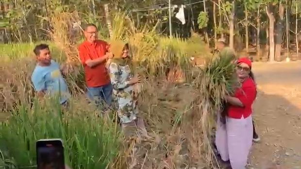 Susanto bersama Bupati Gunungkidul, Endah Subekti Kuntariningsih saat memanen sebagian tanaman padi miliknya di Ngelorejo, Gari, Wonosari, Gunungkidul. Susanto bersama Bupati Gunungkidul, Endah Subekti Kuntariningsih saat memanen sebagian tanaman padi miliknya di Ngelorejo, Gari, Wonosari, Gunungkidul.