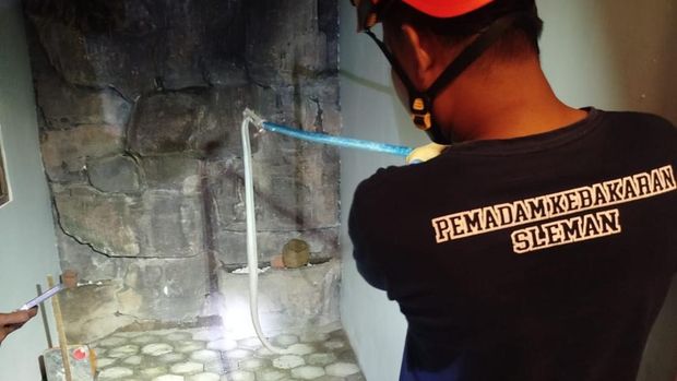 Ular Kobra Masuk Rumah Eross Sheila on 7 Petugas Damkar Sleman mengevakuasi ular kobra jawa dari rumah gitaris Sheila on 7, Eross Candra di Ngaglik, Sleman, Sabtu (27/6).