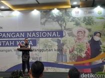 Wamendagri: 43,5 Persen Penduduk Indonesia Tak Mampu Beli Makanan Sehat