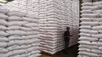 Distribusi Pupuk Bersubsidi Digenjot untuk Dukung Produksi Beras