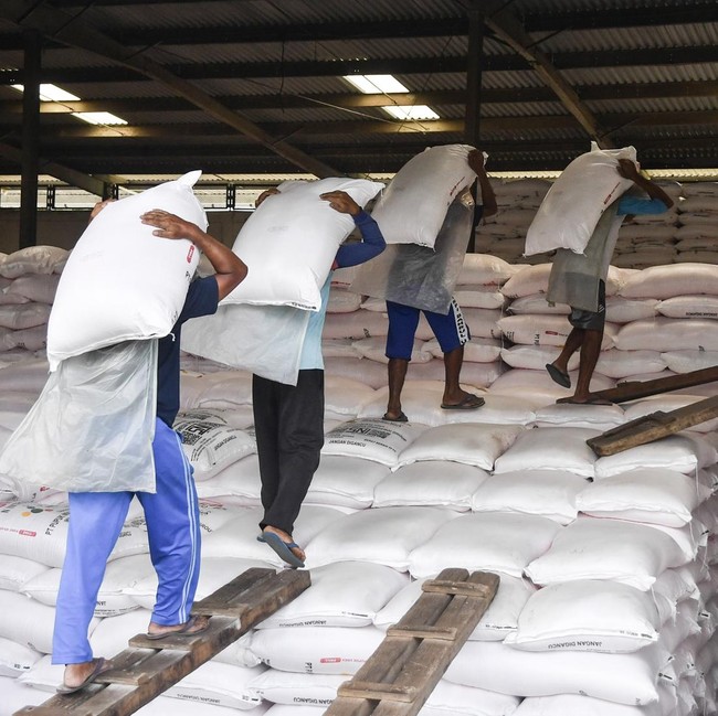 Distribusi Pupuk Bersubsidi Digenjot untuk Dukung Produksi Beras