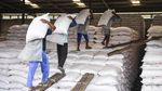 Distribusi Pupuk Bersubsidi Digenjot untuk Dukung Produksi Beras