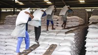 Prabowo Klaim Harga Pupuk Turun!