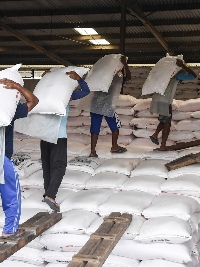 Distribusi Pupuk Bersubsidi Digenjot untuk Dukung Produksi Beras