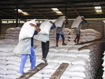 Distribusi Pupuk Bersubsidi Digenjot untuk Dukung Produksi Beras