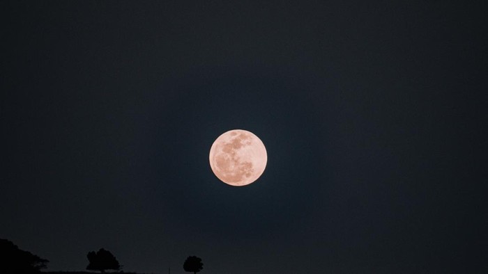 Ilustrasi Strawberry Moon Juni