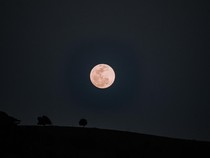 Malam Ini 30 Juni 2026 Ada Strawberry Moon, Cek Asal Nama dan Mitosnya Yuk!