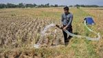 Jaringan Irigasi Air Tanah Bantu Petani Jaga Pasokan Air Sawah