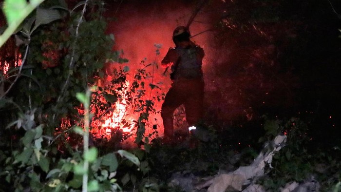 Kebakaran hutan melanda kawasan Gunung Dloko dan Gunung Gede di Desa Tatung, Kecamatan Balong, Ponorogo