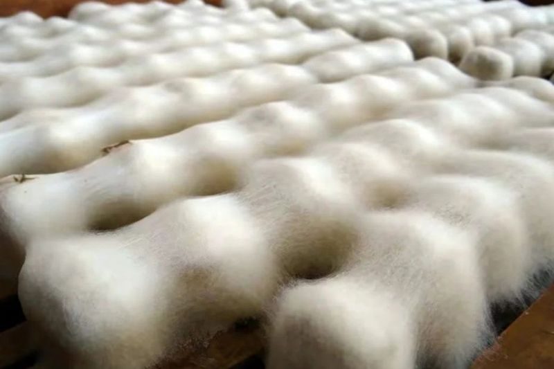 5 Fakta Moldy Tofu, Tahu Berjamur dari China yang Kian Populer