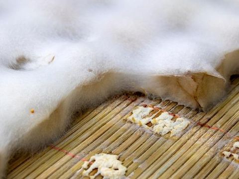 5 Fakta Moldy Tofu, Tahu Berjamur dari China yang Kian Populer