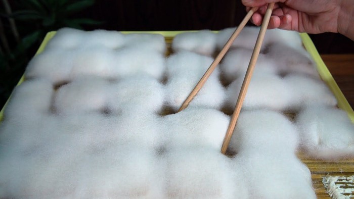 5 Fakta Moldy Tofu, Tahu Berjamur dari China yang Kian Populer