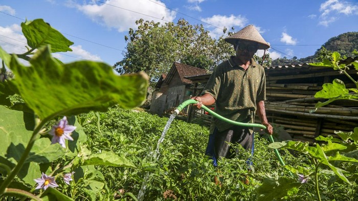 Petani menyiram tanaman cabai menggunakan air yang dipompa dari Sungai Oyo di lahan pertanian Kalurahan Sriharjo, Imogiri, Bantul, DI Yogyakarta, Selasa (30/6/2026). Memasuki musim kemarau, petani di Kalurahan Sriharjo beralih dari menanam padi ke komoditas palawija seperti bawang dan cabai serta mengandalkan air Sungai Oyo yang dipompa ke lahan pertanian. ANTARA FOTO/Rahid Putra Laksana/agr/nz
