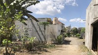 Para penyewa mendirikan rumah pribadi di tanah kas desa yang dikaveling bak perumahan itu.
