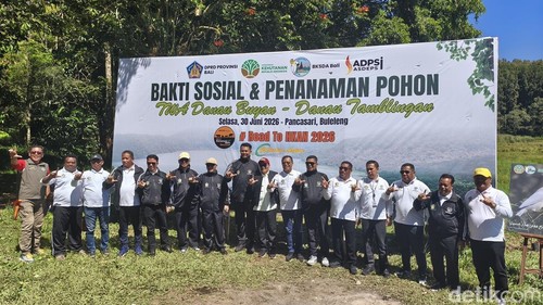 Penanaman Pohon oleh ADPSI di Kawasan Danau Buyan, Desa Pancasari, Kecamatan Sukasada, Buleleng, Bali Selasa (30/6/2026). (Made Wijaya Kusuma/detikBali)