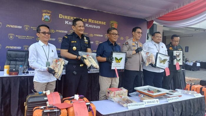 Pengungkapan kasus penyelundupan sumber daya alam berupa gading dari gajah yang dilindungi, kupu-kupuk, hingga benih lobster.