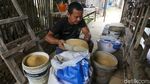 Harga Telur Terus Anjlok, Peternak Ayam Petelur Menjerit