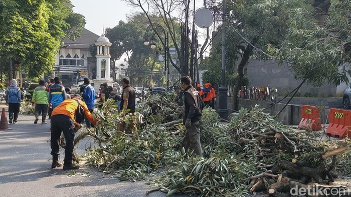 Pohon tumbang di Bandung.