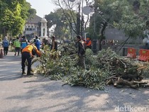 Pohon Tumbang di Depan Museum Kota Bandung, Jalan Aceh Ditutup