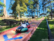 Menikmati Sejuknya Woodlands Kuningan di Kaki Gunung Ciremai