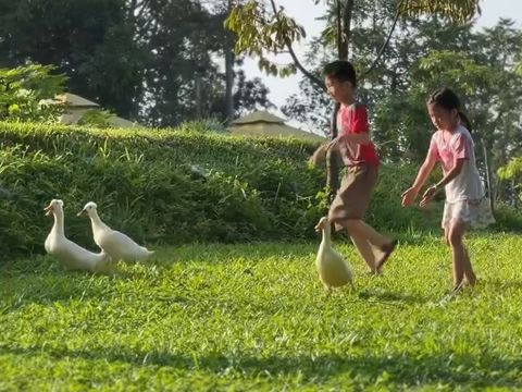 Taman K Pandaan Pasuruan: Wisata Bernuansa Korea dengan Wahana Seru, Glamping, hingga Edufarm